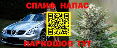 гидра Рязань