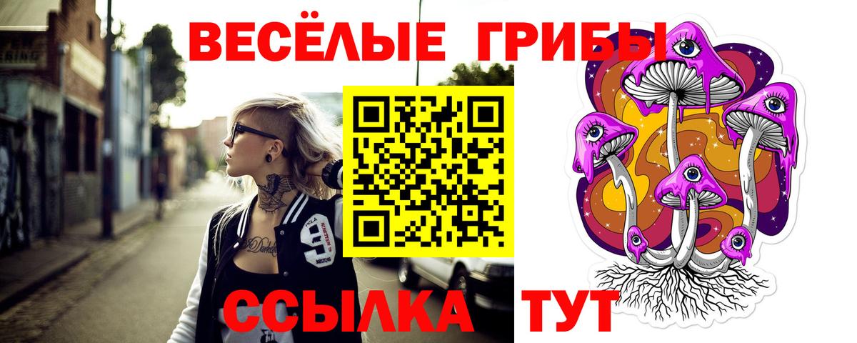 Саранск  Галлюциногенные грибы мицелий  Вход с VPN 